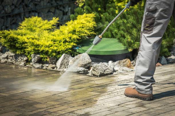 Best Sidewalk and Walkway Cleaning  in Ferris, TX